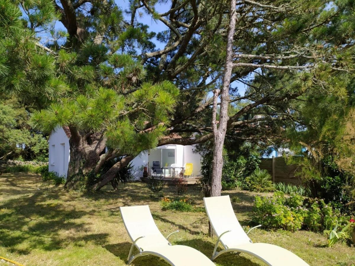 נוארמוטייה-אן-ליל Maison Cosy 200M Plage De La Liniere, Jardin Clos, Terrasse, Parking Prive - 4 Couchages - Fr-1-224B-90 מראה חיצוני תמונה